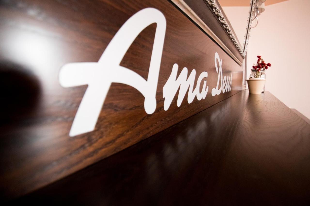 Hotel Amadeus Focşani 外观 照片